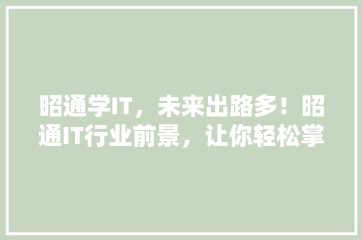 昭通学IT，未来出路多！昭通IT行业前景，让你轻松掌握高薪技能！
