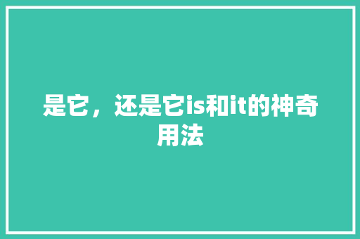 是它，还是它is和it的神奇用法