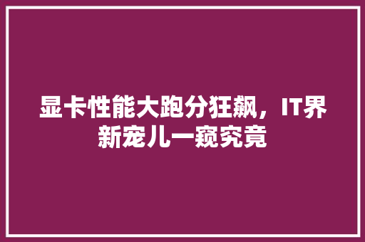 显卡性能大跑分狂飙，IT界新宠儿一窥究竟