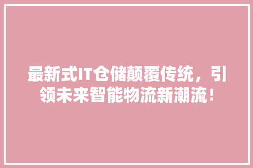 最新式IT仓储颠覆传统，引领未来智能物流新潮流！
