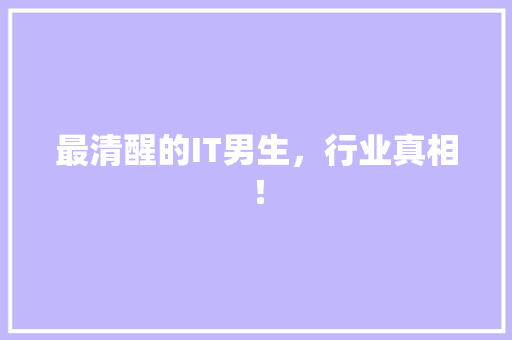 最清醒的IT男生，行业真相！