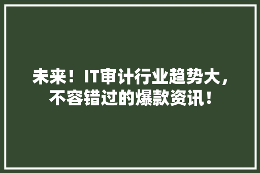 未来！IT审计行业趋势大，不容错过的爆款资讯！