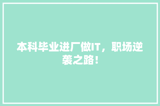 本科毕业进厂做IT，职场逆袭之路！