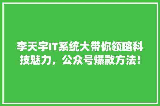 李天宇IT系统大带你领略科技魅力，公众号爆款方法！ 必应SEO