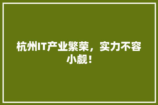 杭州IT产业繁荣，实力不容小觑！ GoogleSEO