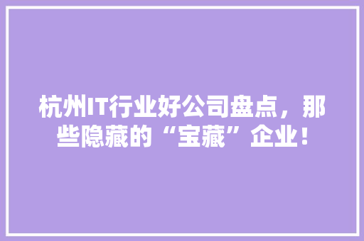 杭州IT行业好公司盘点，那些隐藏的“宝藏”企业！