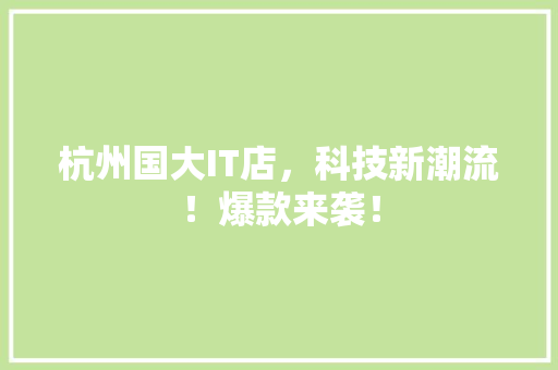 杭州国大IT店，科技新潮流！爆款来袭！ 神马SEO