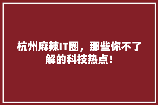 杭州麻辣IT圈，那些你不了解的科技热点！ 百度SEO