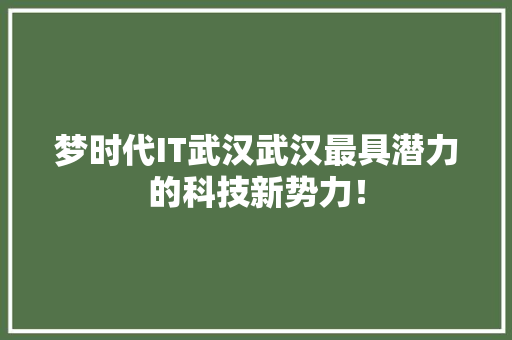 梦时代IT武汉武汉最具潜力的科技新势力！