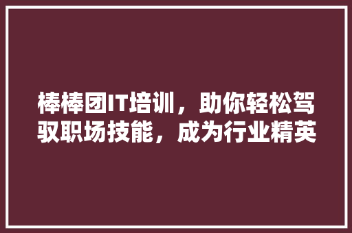 棒棒团IT培训，助你轻松驾驭职场技能，成为行业精英！