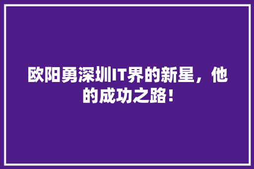 欧阳勇深圳IT界的新星，他的成功之路！