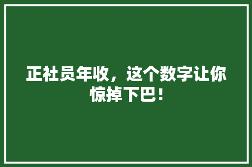 正社员年收，这个数字让你惊掉下巴！