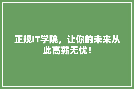 正规IT学院，让你的未来从此高薪无忧！
