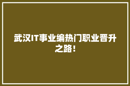 武汉IT事业编热门职业晋升之路！