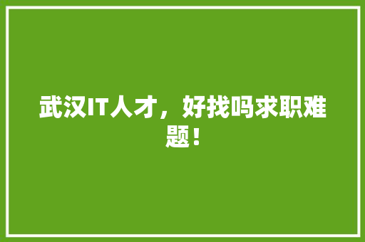 武汉IT人才，好找吗求职难题！