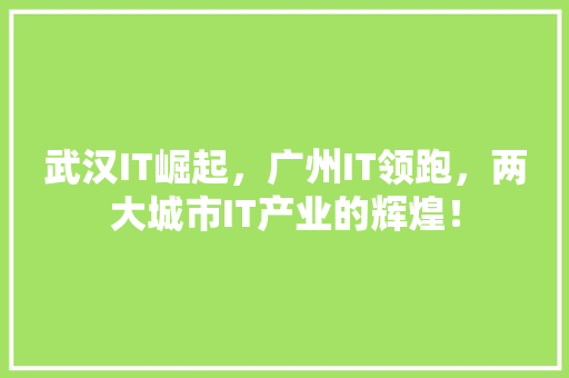 武汉IT崛起，广州IT领跑，两大城市IT产业的辉煌！