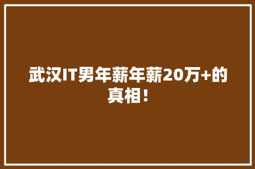 武汉IT男年薪年薪20万+的真相！