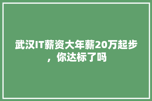 武汉IT薪资大年薪20万起步，你达标了吗