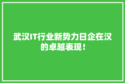武汉IT行业新势力日企在汉的卓越表现！