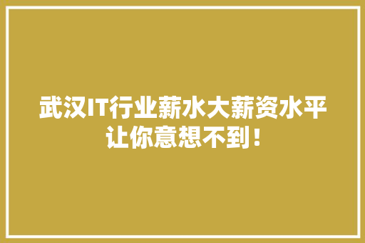 武汉IT行业薪水大薪资水平让你意想不到！