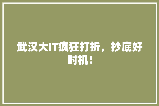 武汉大IT疯狂打折，抄底好时机！