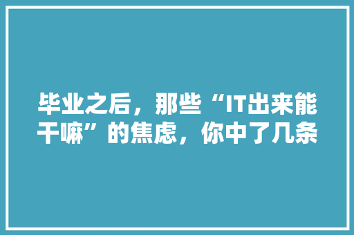 毕业之后，那些“IT出来能干嘛”的焦虑，你中了几条