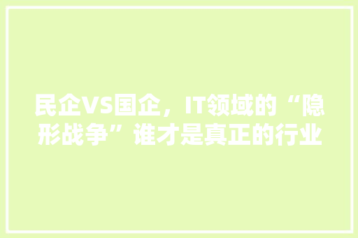 民企VS国企，IT领域的“隐形战争”谁才是真正的行业霸主