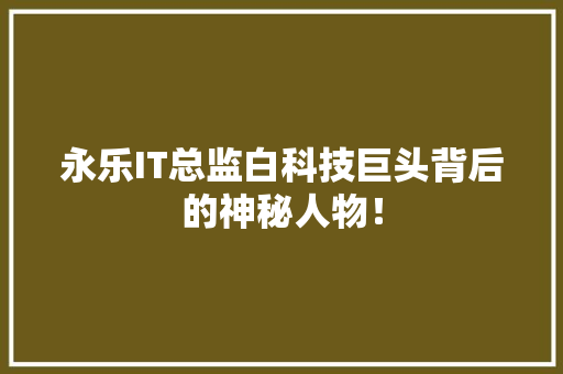 永乐IT总监白科技巨头背后的神秘人物！