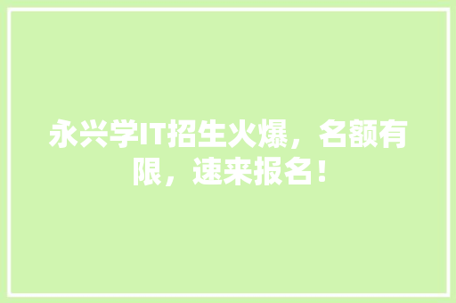 永兴学IT招生火爆，名额有限，速来报名！