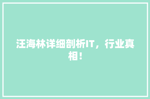 汪海林详细剖析IT，行业真相！