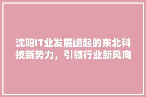 沈阳IT业发展崛起的东北科技新势力，引领行业新风向！