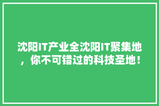 沈阳IT产业全沈阳IT聚集地，你不可错过的科技圣地！