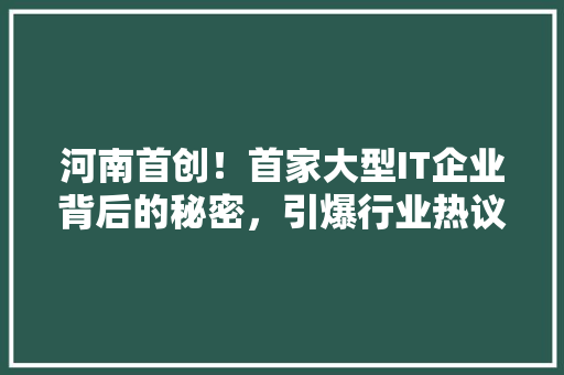河南首创！首家大型IT企业背后的秘密，引爆行业热议！
