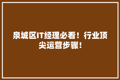 泉城区IT经理必看！行业顶尖运营步骤！
