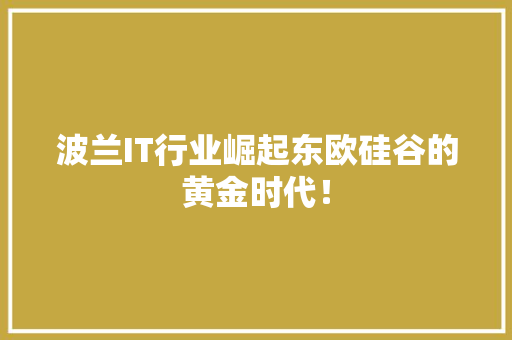 波兰IT行业崛起东欧硅谷的黄金时代！