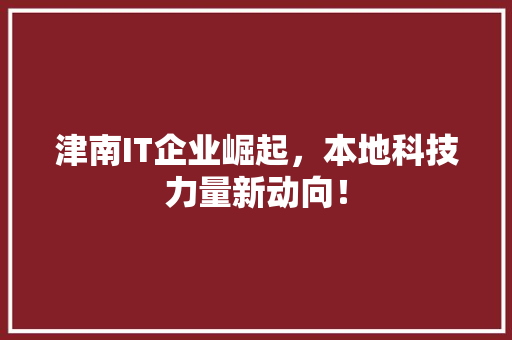 津南IT企业崛起，本地科技力量新动向！