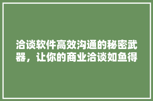 洽谈软件高效沟通的秘密武器，让你的商业洽谈如鱼得水！