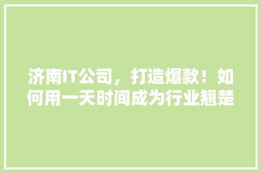 济南IT公司，打造爆款！如何用一天时间成为行业翘楚！