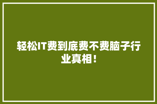 轻松IT费到底费不费脑子行业真相！ 必应SEO