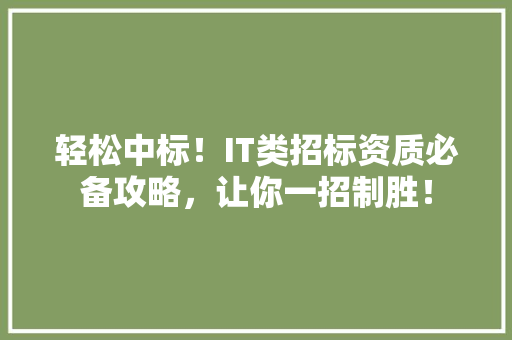 轻松中标！IT类招标资质必备攻略，让你一招制胜！
