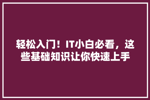 轻松入门！IT小白必看，这些基础知识让你快速上手
