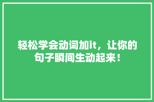 轻松学会动词加it，让你的句子瞬间生动起来！ 百度SEO