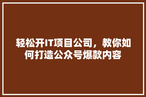 轻松开IT项目公司，教你如何打造公众号爆款内容 GoogleSEO