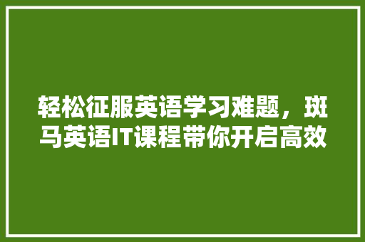 轻松征服英语学习难题，斑马英语IT课程带你开启高效学习之旅！