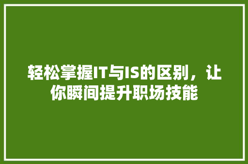 轻松掌握IT与IS的区别，让你瞬间提升职场技能