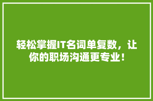轻松掌握IT名词单复数，让你的职场沟通更专业！ 搜狗SEO