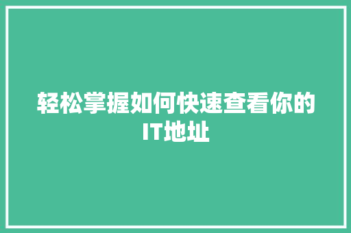 轻松掌握如何快速查看你的IT地址