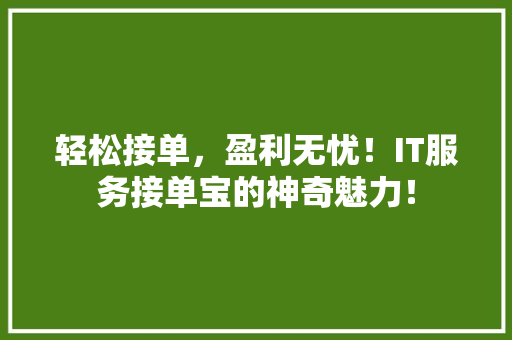 轻松接单，盈利无忧！IT服务接单宝的神奇魅力！