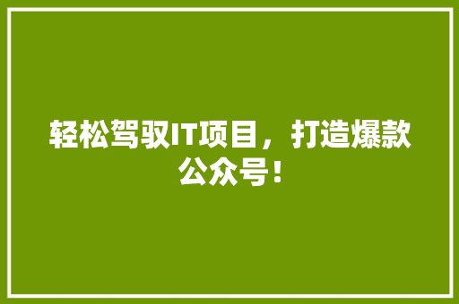 轻松驾驭IT项目，打造爆款公众号！