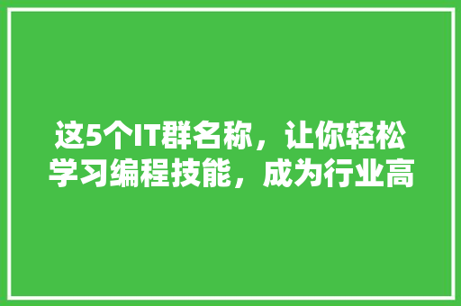 这5个IT群名称，让你轻松学习编程技能，成为行业高手！